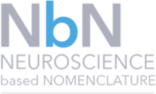NbN — Neuroscience-based Nomenclature